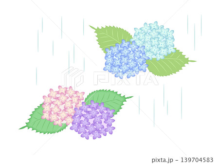 雨の中咲く紫陽花の水彩風イラスト 雨の中咲く紫陽花の水彩風イラスト 139704583
