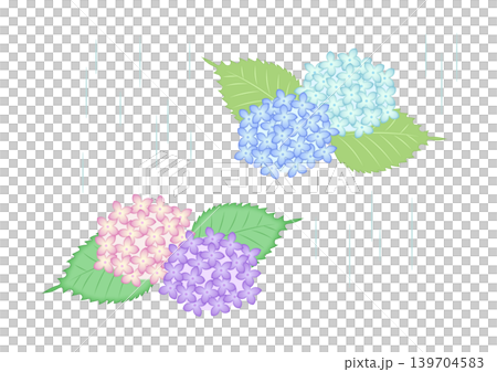 雨の中咲く紫陽花の水彩風イラスト 雨の中咲く紫陽花の水彩風イラスト 139704583