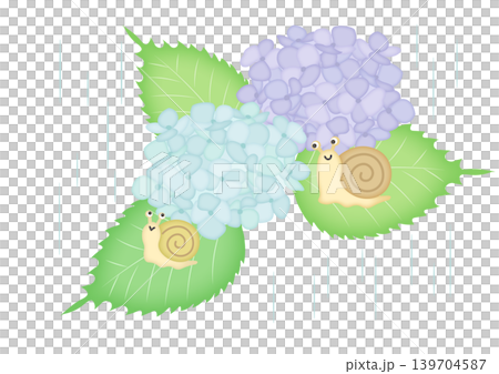 雨の中のあじさいとかたつむりの水彩風イラスト 雨の中のあじさいとかたつむりの水彩風イラスト 139704587