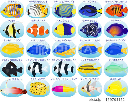 海水魚の図鑑 海水魚の図鑑 139705152
