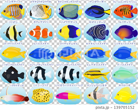 海水魚の図鑑 海水魚の図鑑 139705152