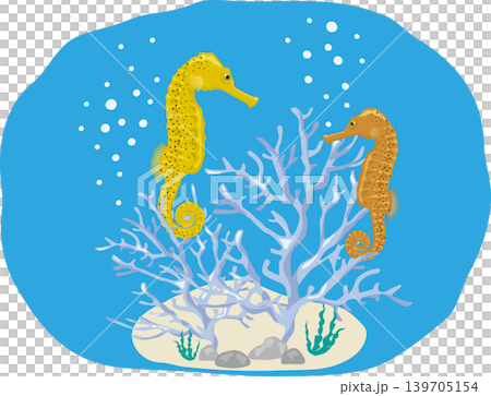 Seahorse with background 139705154