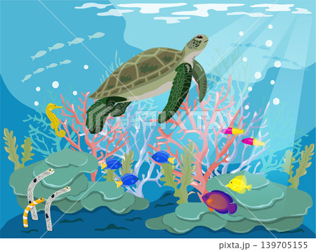 海底のウミガメ 139705155