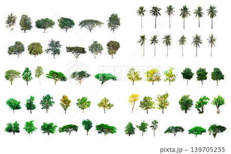 collection of tree in the garden isolated on white background collection of tree in the garden isolated on white background 139705235