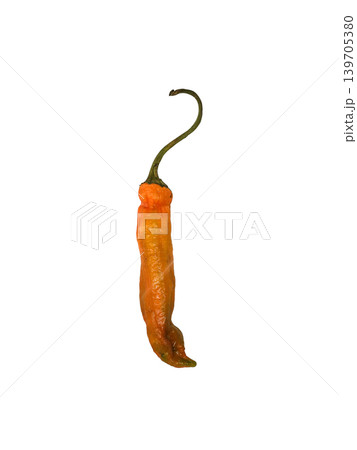 withered chili pepper isolated on white background withered chili pepper isolated on white background 139705380