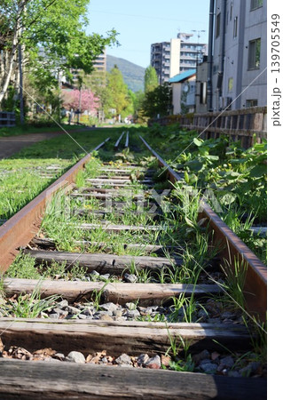 五月初旬の北海道、小樽、観光、手宮線跡地の春、八重桜と旧手宮線を散歩 139705549