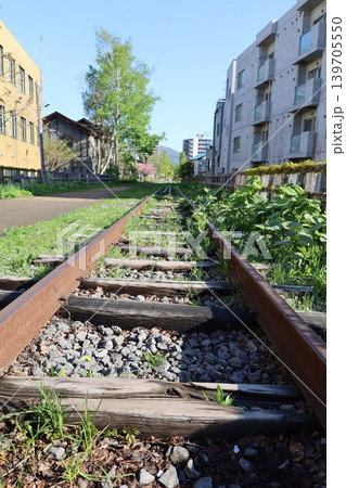 五月初旬の北海道、小樽、観光、手宮線跡地の春、八重桜と旧手宮線を散歩 139705550