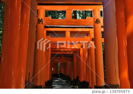 伏見稲荷　千本鳥居(京都市伏見区) 139705873