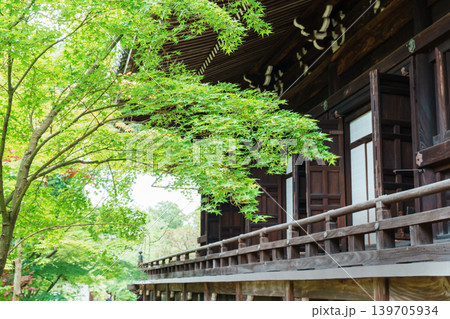 光明寺の春 光明寺の春 139705934