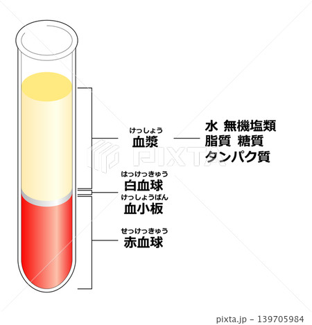 血液の成分 139705984