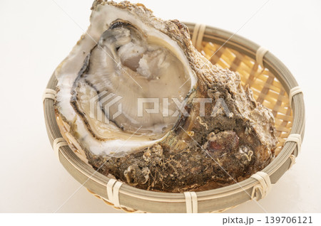 夏が旬岩牡蠣 夏が旬岩牡蠣 139706121