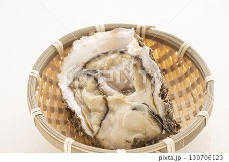 夏が旬岩牡蠣 139706123