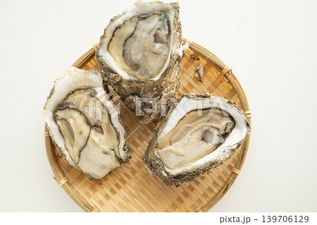 夏が旬岩牡蠣 139706129