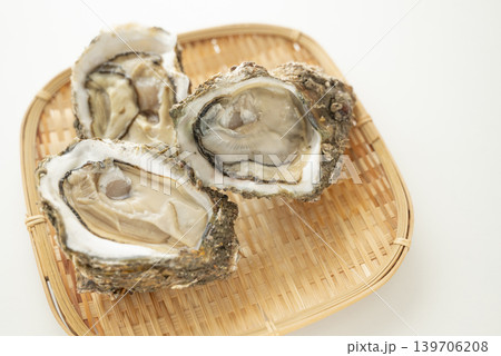 夏が旬 岩牡蠣 夏が旬 岩牡蠣 139706208