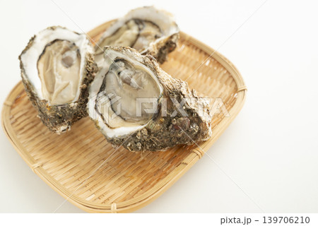 夏が旬 岩牡蠣 夏が旬 岩牡蠣 139706210