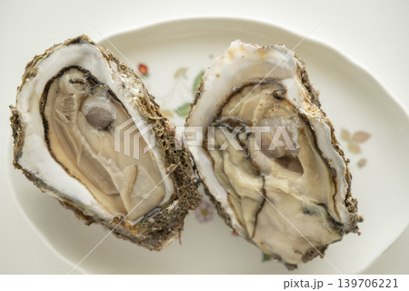 夏が旬 岩牡蠣 夏が旬 岩牡蠣 139706221