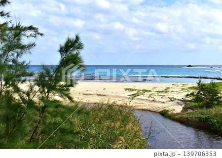 奄美大島の海 土盛海岸 奄美大島の海 土盛海岸 139706353
