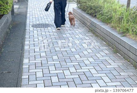 ヘリンボーン柄のコンクリートブロックが舗装された歩道(犬の散歩) 139706477