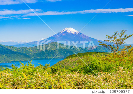(神奈川県)新緑の箱根から芦ノ湖と富士山を望む (神奈川県)新緑の箱根から芦ノ湖と富士山を望む 139706577