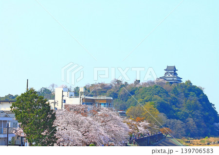 愛知県犬山市、犬山城と桜の風景 愛知県犬山市、犬山城と桜の風景 139706583