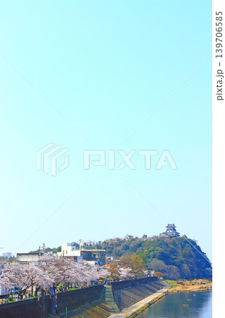 愛知県犬山市、犬山城と桜の風景 愛知県犬山市、犬山城と桜の風景 139706585