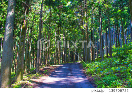 【神奈川県】玄倉林道~ユーシン渓谷へのハイキングコース 【神奈川県】玄倉林道~ユーシン渓谷へのハイキングコース 139706725