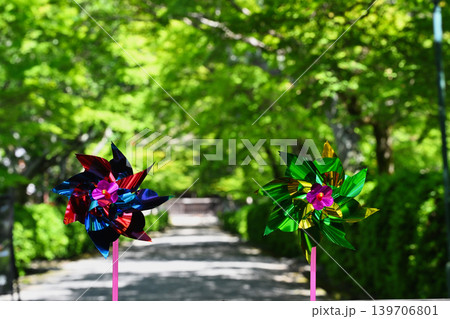 西教寺 西教寺 139706801