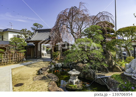 三門周辺 常福寺 境内 岡山県岡山市 三門周辺 常福寺 境内 岡山県岡山市 139706954