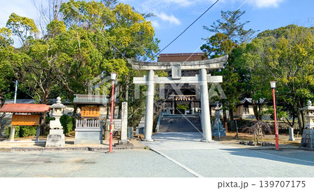 香椎宮の歴史ある境内 香椎宮の歴史ある境内 139707175