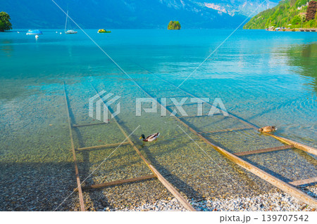 スイスのブリエンツ湖のイゼルトヴァルトの風景 スイスのブリエンツ湖のイゼルトヴァルトの風景 139707542