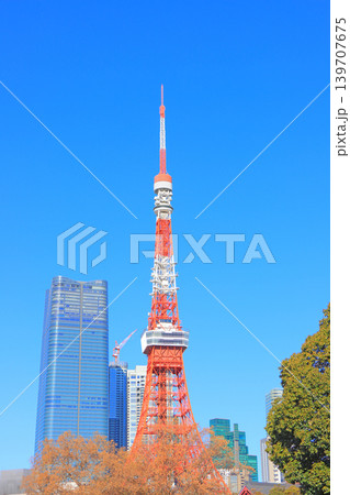 東京都港区、東京タワーの風景 139707675