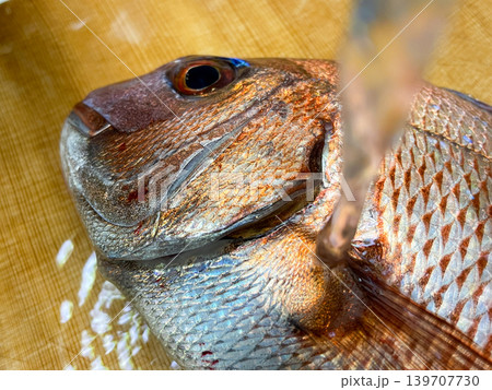真鯛をさばく瞬間の包丁と魚の接写 真鯛をさばく瞬間の包丁と魚の接写 139707730