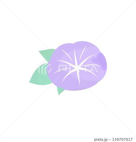 一輪の朝顔と葉っぱの水彩風イラスト 夏の和風素材 紫 139707817