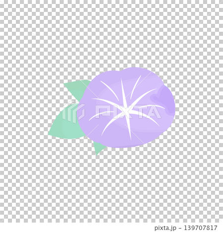 一輪の朝顔と葉っぱの水彩風イラスト 夏の和風素材 紫 139707817