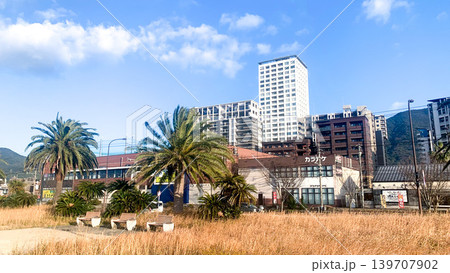 大里海岸緑地の風景 大里海岸緑地の風景 139707902