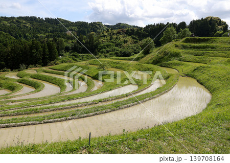 棚田田園風景 棚田田園風景 139708164