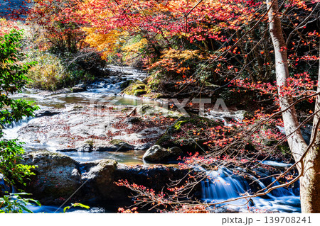 【日本の滝百選】龍頭・八重滝 紅葉と渓流7 島根県雲南市 【日本の滝百選】龍頭・八重滝 紅葉と渓流7 島根県雲南市 139708241