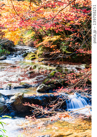 【日本の滝百選】龍頭・八重滝 紅葉と渓流5 島根県雲南市 【日本の滝百選】龍頭・八重滝 紅葉と渓流5 島根県雲南市 139708251