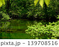 裏磐梯五色沼J 裏磐梯五色沼J 139708516