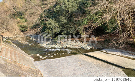 犬鳴川の自然豊かな風景 139708646