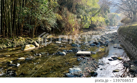 犬鳴川の自然豊かな風景 139708657