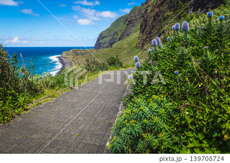 Beautiful walkway between the tropical flowers in Madeira Island, Portugal 139708724
