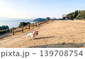 最西端の地で遊ぶフレンチブルドッグ 139708754