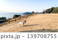 最西端の地で遊ぶフレンチブルドッグ 139708755