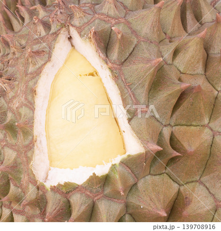 Durian peel texture closeup pulp Durian peel texture closeup pulp 139708916