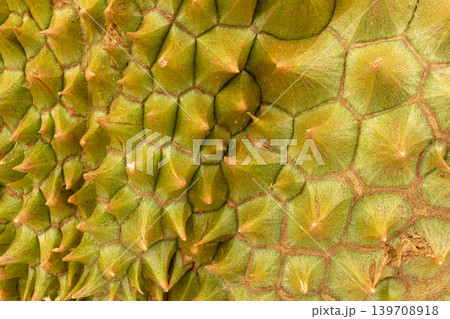 Durian peel texture closeup shell Durian peel texture closeup shell 139708918