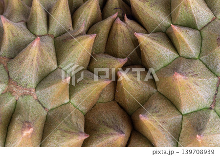 Durian peel texture closeup shell Durian peel texture closeup shell 139708939