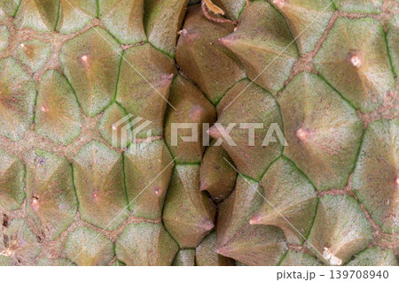 Durian peel texture closeup shell Durian peel texture closeup shell 139708940