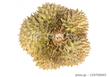 durian isolated on white background 139708945