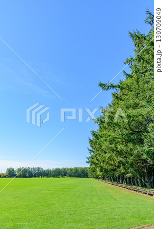 帯広 緑ヶ丘公園400mベンチ 帯広 緑ヶ丘公園400mベンチ 139709049